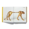 Acne Paper nummer 20 | Golden