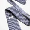 Silkeslips