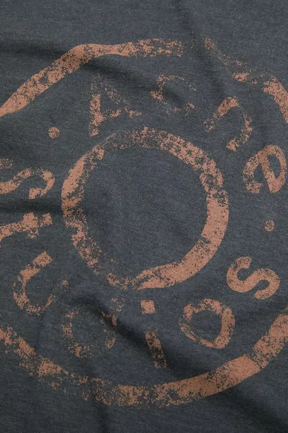 T-shirtar med slitet logo-tryck